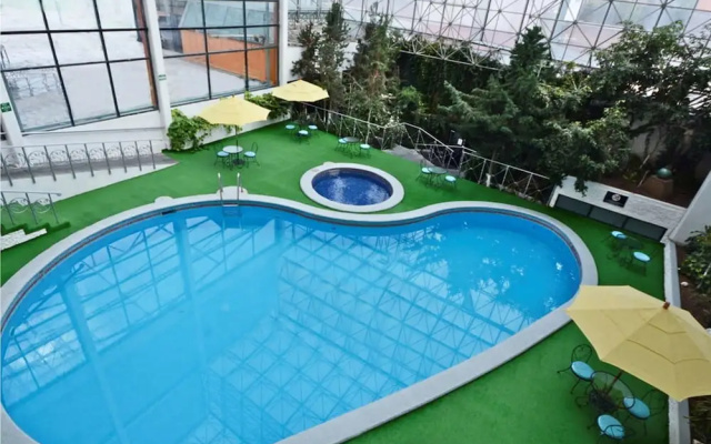 Holiday Inn Pachuca