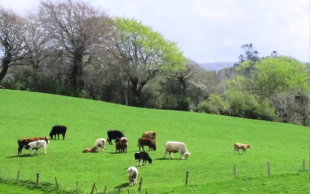 Ardtully Farmhouse