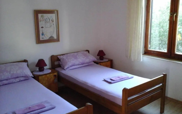 Apartment Vrulje