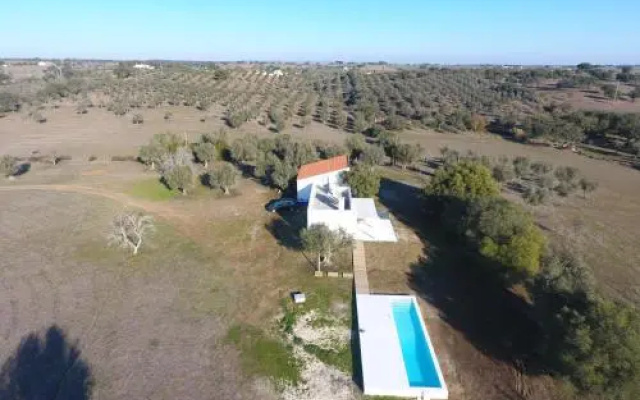 casa singular | concept house