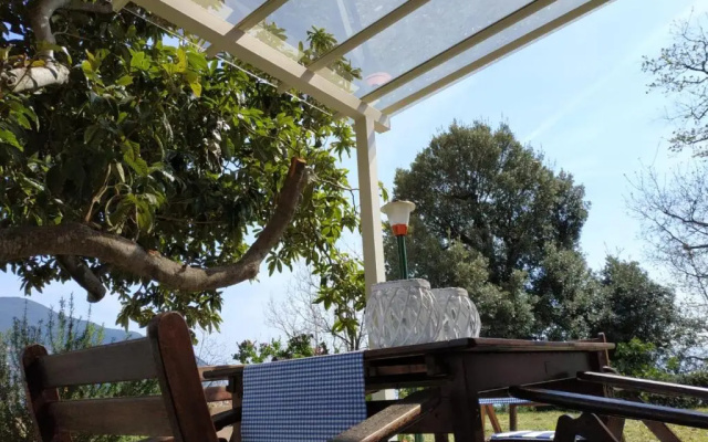 Villa Venino