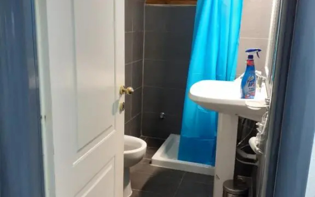 Domvs 84