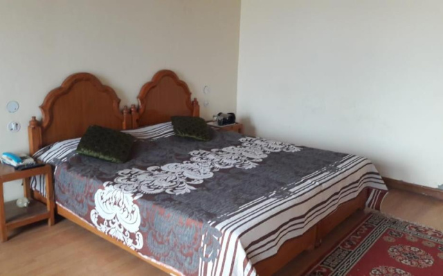 Kausani Best Inn