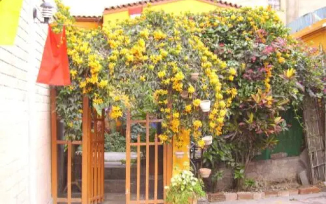 151 Backpacker Hostel B&B
