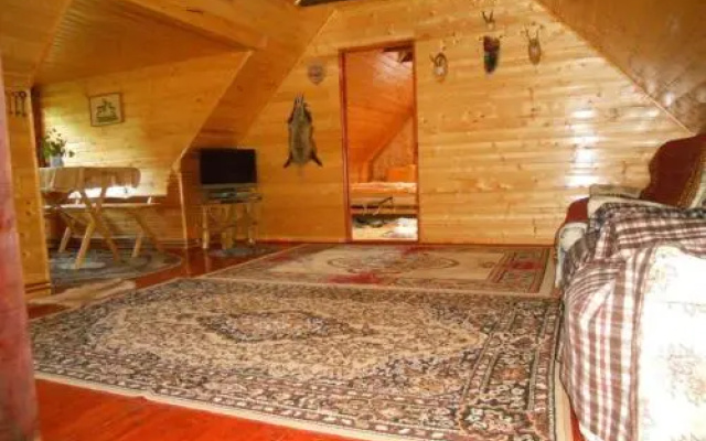 Casa de vacanta Vidrighin