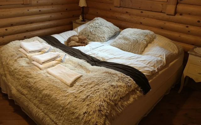 Log Cabin at White River