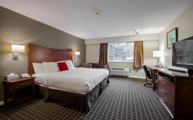 Gibsons Garden Hotel