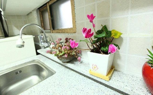 Sky Guesthouse