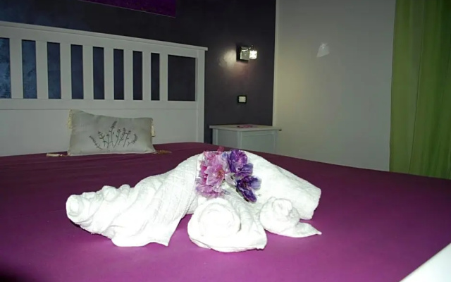 B&B Aurora