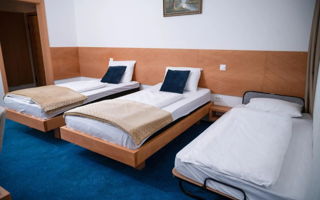 Hotel Borići