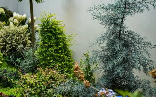 Zhangjiajie Xiwu Homestay