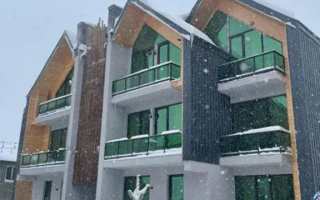 Snow Forest Bakuriani Apartment 17B