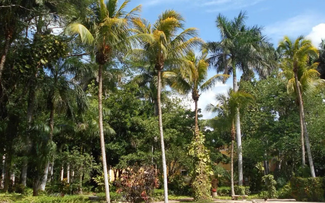 Hacienda Chichen Resort & Yaxkin Spa