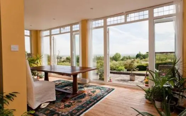 Shakespeare's View
