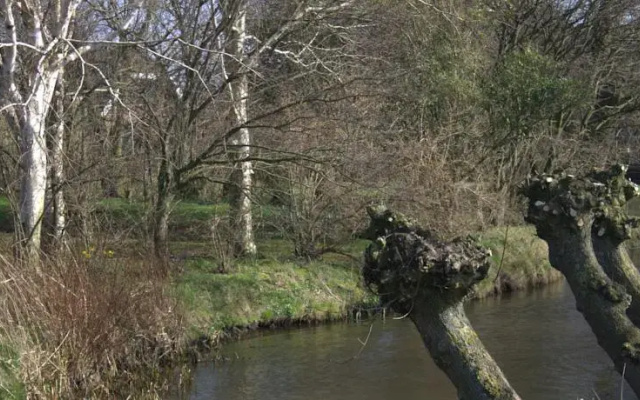 B&B De Esdoorn
