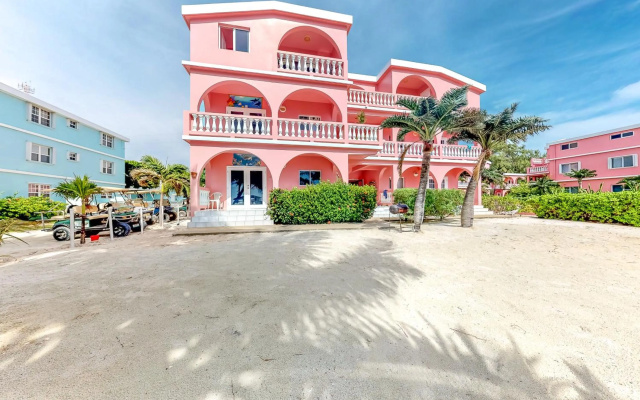 Saponaria 21-22 at Caribe Island Gold Standard Certified