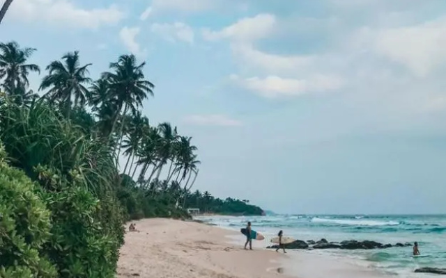 The wave surf inn
