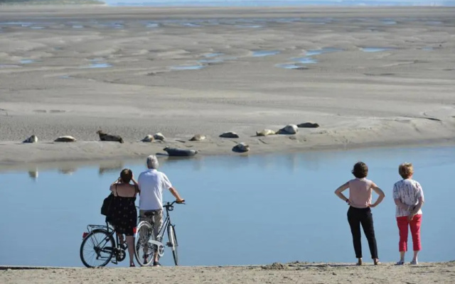 PADDLE - Vue Mer - 100M PLAGE
