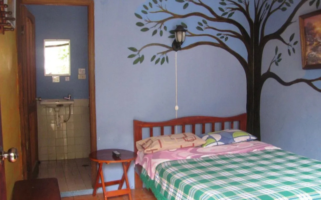 Hostal Transilvania