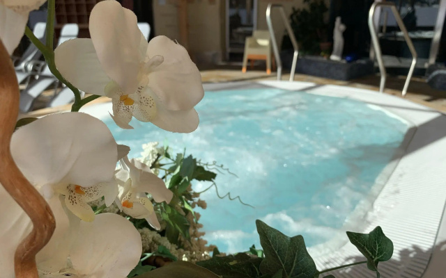Luxury apartment in the citycenter of Mariapfarr