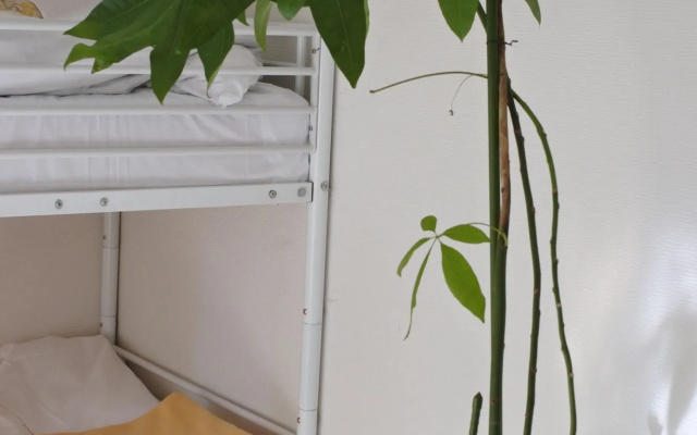 Kagoshima Guest House M104 - Hostel
