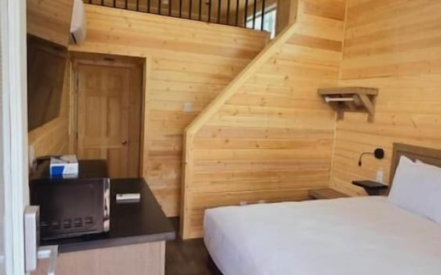 Luxury Cabin with Mountain View 3A