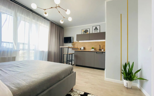 Родник Apartmet 10 этаж (Челяюинск)