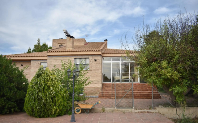 Salvadora Luminosa