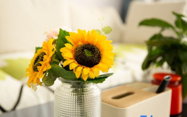 Seven Trees Boutique Inn (Beijing Daxing International Airport)