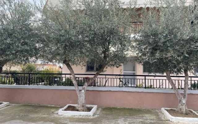Olive Inn City