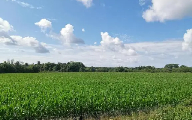 1 pied à la campagne, l'autre en ville T3 - 60m²