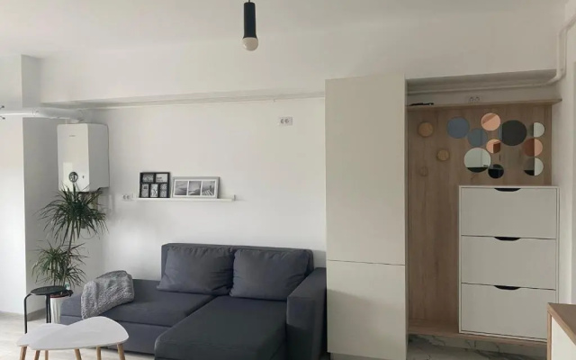 Maia Minimalist Studio
