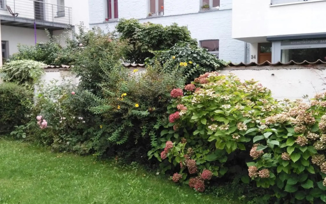 Altstadt Bonn mit eigenem Parkplatz und Garten
