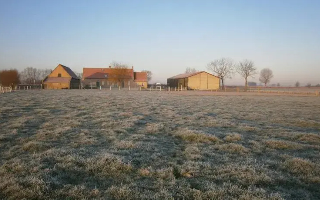 Ijzerweelde