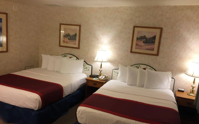 Swiss Alps Inn