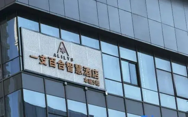 Lily Smart Hotel (Hefei Binhu Zhuyuan Subway Station)