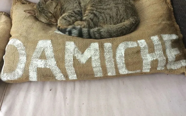 La Damiche
