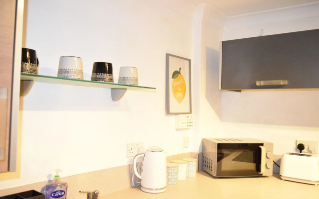 The Jungle Apartment
