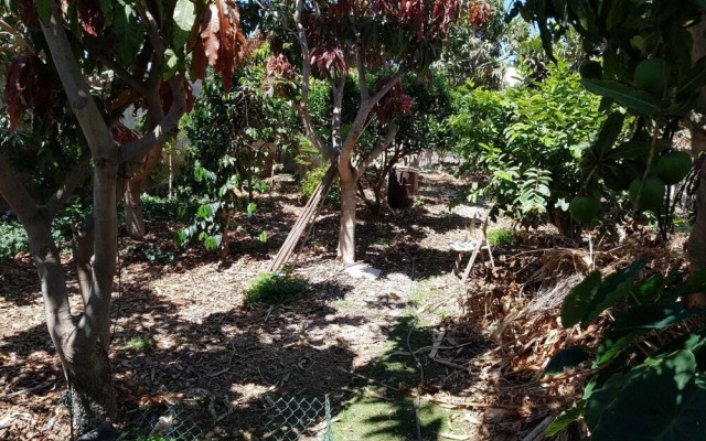Villa Extra Lujo