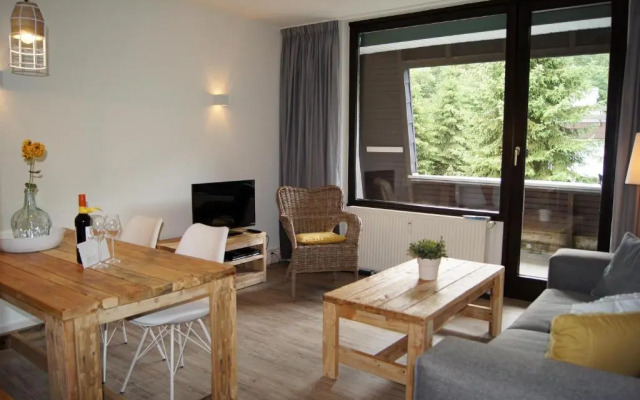 Winterberg Appartement 21097