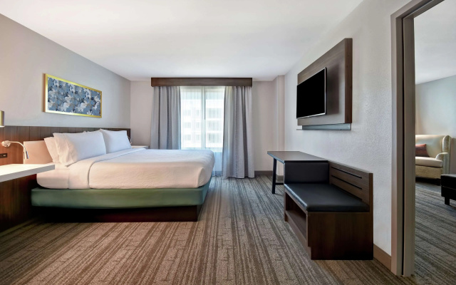 Hilton Garden Inn Houston/Galleria Area