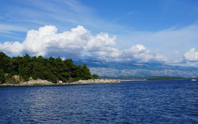 Tatjana - 300 m from beach - A1(2+2)