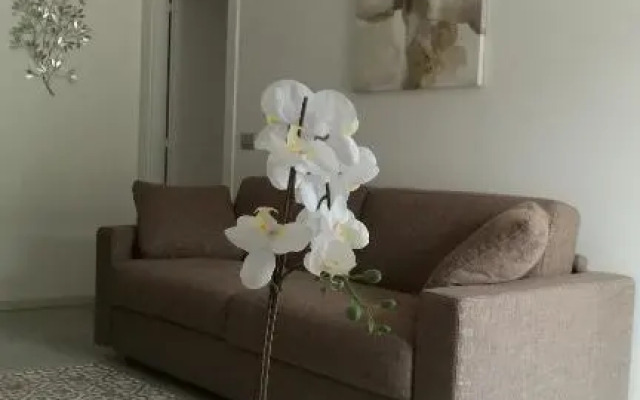Design Apartment N. 41 (Adults Only)