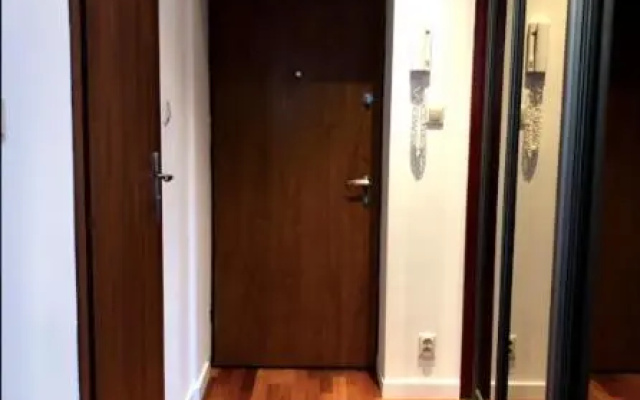 Anielewicza 9