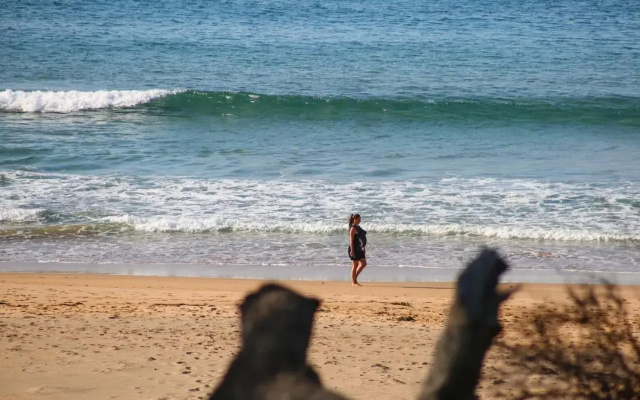 Surfspray I Pet Friendly I Absolute Beachfront