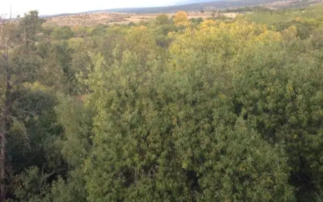 Apartamento Rural la Muralla de Pedraza