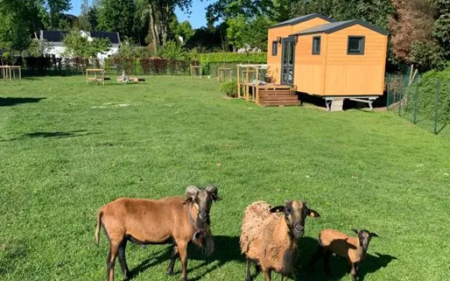 Joly Tiny House