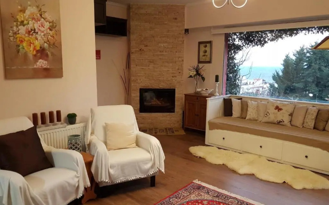 Villa Cosmina
