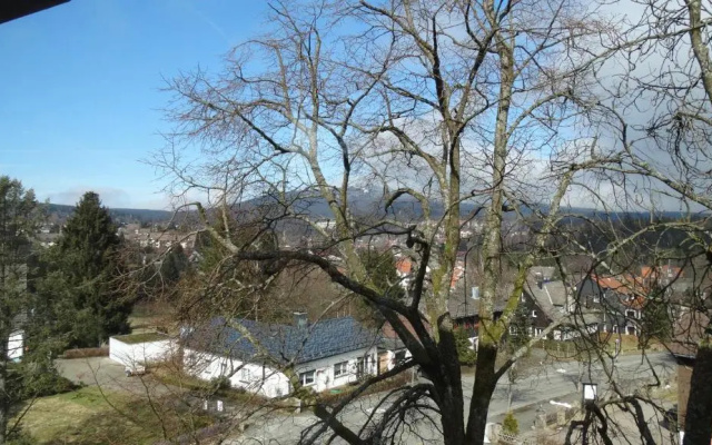 Bergziege