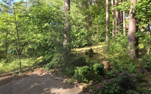 Wald Und Wohlsein